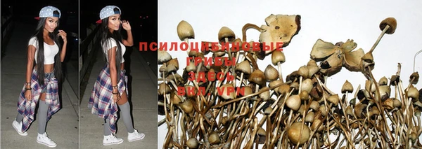 каннабис Горнозаводск
