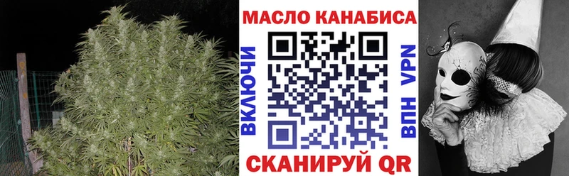 сколько стоит  Гороховец  ТГК гашишное масло 