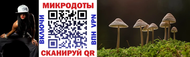 Псилоцибиновые грибы Psilocybine cubensis  OMG как зайти  Гороховец  закладка 